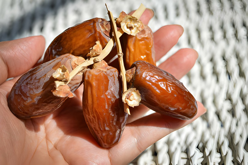 أشهر أنواع التمور