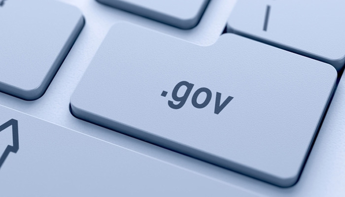 e government
